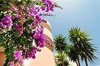 Los Estanques Apartment Colonia de Sant Jordi